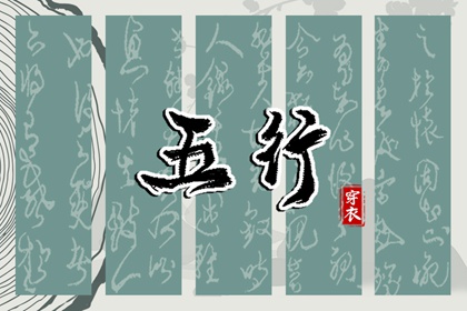 日柱纳音重点